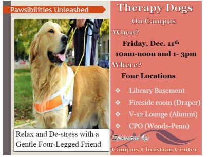 Therapy dogs visit campus flyer 